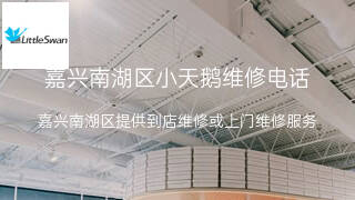 小天鹅