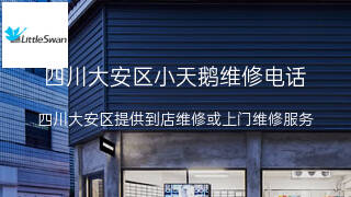 小天鹅