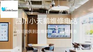 小天鹅