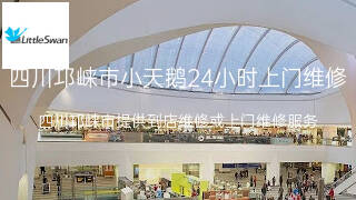 小天鹅