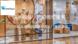 小天鹅