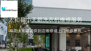 小天鹅