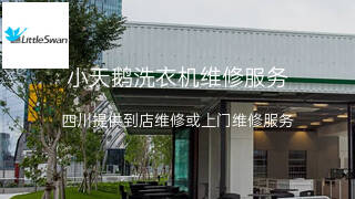 小天鹅