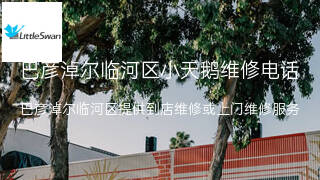 小天鹅
