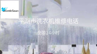 小天鹅