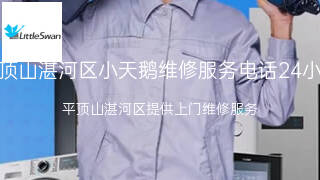 小天鹅