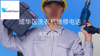小天鹅