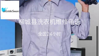 小天鹅