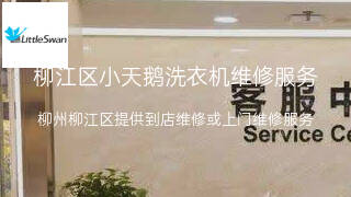 小天鹅