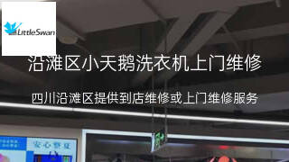 小天鹅