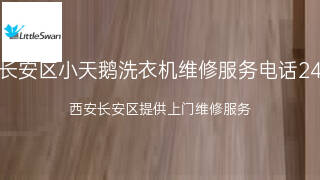 小天鹅