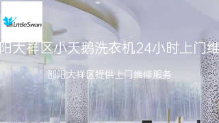 小天鹅