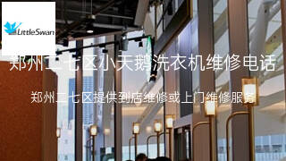 小天鹅