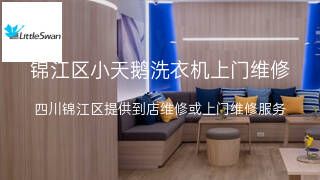 小天鹅