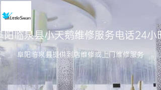 小天鹅