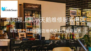 小天鹅