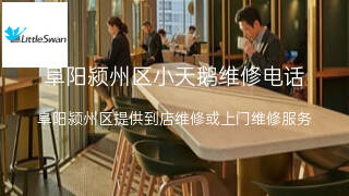 小天鹅