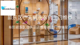 小天鹅