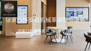 机械革命