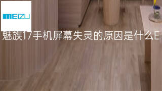 魅族17手机屏幕失灵的原因是什么 魅族17手机屏幕失灵的原因是什么