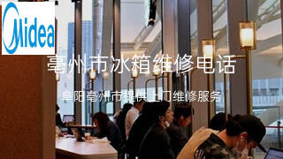 美的