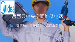 美的