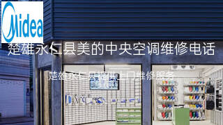 美的