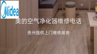 美的