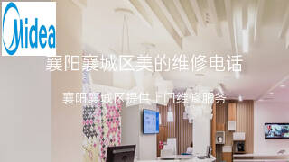 美的