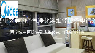 美的