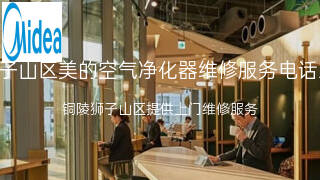 美的