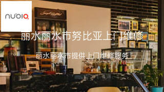 努比亚