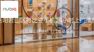 努比亚