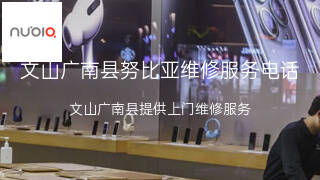 努比亚