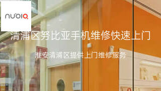 努比亚