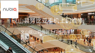 努比亚