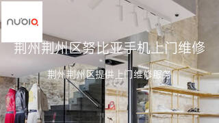 努比亚