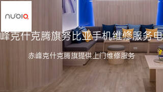 努比亚