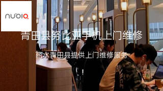 努比亚