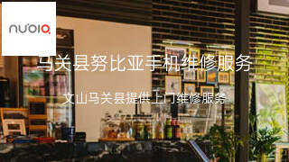 努比亚