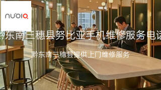 努比亚