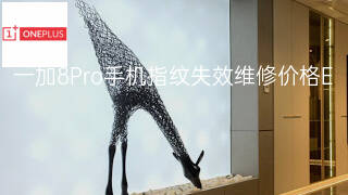 一加8Pro手机指纹失效维修价格 一加8Pro手机指纹失效维修价格
