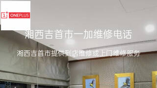 一加