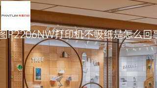 奔图P2206NW打印机不吸纸是怎么回事 奔图P2206NW打印机不吸纸是怎么回事