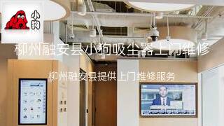 小狗