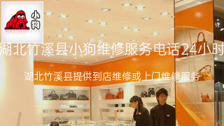 小狗