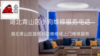 小狗