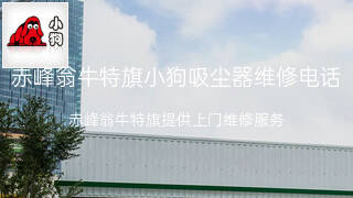 小狗