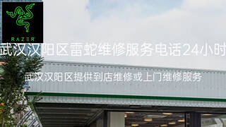 雷蛇