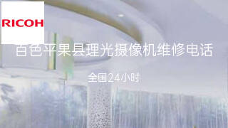 理光